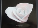 Anomoly Gary Numan'esque OTB Very Limited Edition Rarity