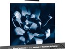 LP Trottel - THE FINAL SALUTE IN THE NAME OF HUMAN MISERY