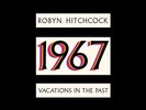 Robyn Hitchcock - 1967: Vacations In The Past [New Vinyl LP]