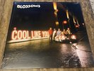 Cool like You by Blossoms Vinyl New Sealed