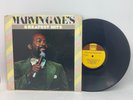 Marvin Gaye's Greatest Hits Vinyl LP Compilation US 1976 Reissue VG+/VG