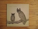 Neil Halstead Palindrome Hunches LP Brushfire Records 2012 US ORIGINAL
