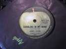 James Taylor Vinyl 45 Carolina In My Mind / Something's Wrong Apple -9318 w Cove