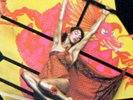 RARE COVER KATE BUSH FIRST SINGLE 7