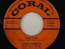 Johnny Burnette Rock & Roll Trio 