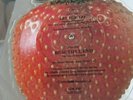 VERY RARE,STRAWBERRY SWITCHBLADE LET HER GO EX CONDITION. SHAPED PICTURE DISC.