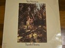Van Morrison 