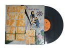 The Peanuts Japanese Duo LP Vinyl Compilation  Mexican Pressing  1972