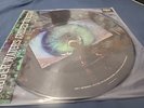 Roger Waters Amused To Death 2015 2LP Picture Disc.