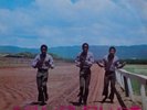 The Pioneers - Long Shot NEW Vinyl
