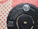 The Fugitives - Really Gonna Shake (RCA DEMO) The Action/Sandra Barry & Boys Mod