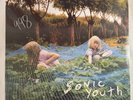 SONIC YOUTH – MURRAY STREET - VINYL LP NEW - 603