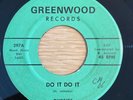 GARAGE rare GYPSIES Do It Do It CT private press 45