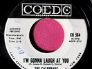 THE CALENDARS - I'm Gonna Laugh at You - clean Promo 45 rpm - Coed 564