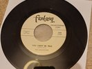 Golliwogs - You Can't Be True / You've Got Nothing On Me - Rare NM US Garage 45