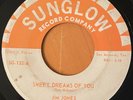 JIM JONES & THE CHAUNTEYS  Baby May I Love You  SUNGLOW 1966 FUNK 45  RARE VG