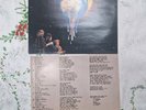 Robert Plant Fate of Nations Vinyl LP Album