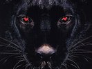 Assassin (2) Touche D'Espoir - LP 33T x 2
