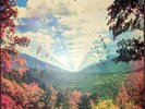 Tame Impala Innerspeaker (2010  2020) NEW OVP Island Records Vinyl LP-Box