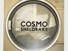 Cosmo Sheldrake The Moss 7Inch Vinyl