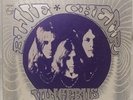 Blue Cheer – Vincebus Eruptum Original Vinyl Record Album PHS 600-264 1968