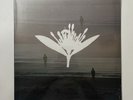 Copeland | Ixora Twin | BRAND NEW & SEALED | White Color Vinyl Record 1 LP
