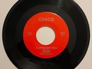 SAVOR A Little Bit Less/Disco Taco UNKNOWN CHICANO SWEET SOUL/MODERN SOUL c.1980