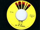 GARAGE ROCK 45- DEE JAY AND THE RUNAWAYS- 