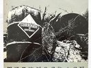 CORROSION OF CONFORMITY Technocracy LP 1987 Death *Vinyl in superb condition *