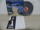 Billy Joel - River Of Dreams 1993 KOREA Vinyl LP W/Insert & NO BARCODE