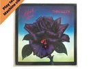 Thin Lizzy Black Rose (A Rock Legend) 12
