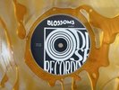 BLOSSOMS GARY Liquid Filled Limited Edition LP