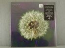 THE BEVIS FROND Focus On Nature LP sealed 2x PURPLE VINYL Record PSYCH ROCK NEW