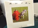 Rush / Signals