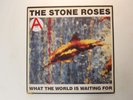 Stone Roses:  What The World Is Waiting For / Fools Gold  1989  EX  12