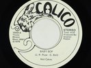 Modern Soul Funk 45 - Hot Cakes - Baby Bop - Calico - obscure