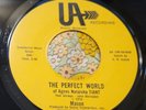Unknown '70 MN Garage Psych Private 45 Mason The Perfect World of Agnes EX HEAR