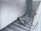 Olivia Dean Live At The Jazz Café EU Record Store Day Limited Edition SEALED
