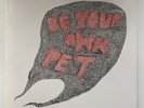 Be Your Own Pet by Be Your Own Pet (Record, 2006) first pressing