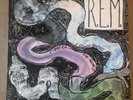 R.E.M. Reckoning Vinyl  1984  IRS Records  SP-70044  with Inner sleeve  EX/EX