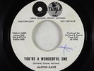Northern Soul 45 - Marvin Gaye - You're A Wonderful One - Tamla