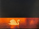 Van Morrison - Avalon Sunset LP M 1989 Rock MINT UNPLAYED / Lyric Sleeve C: EX/V