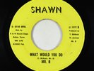 Sweet Soul Funk 45 - Mr. B - What Would You Do - Shawn