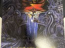 Fleshcrawl Descend Into The Absurd Vinyl