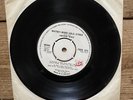 RARE Kevin Ayers & Babe Ruth One Sided Promo Demo Watney-Mann Gold Pilot Disc