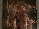 My Morning Jacket - It Still Moves (Vinyl 2x LP Translucent Brown/Black VG+)