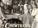 Lana Del Rey Chemtrails Over The Country Club Web Exclusive Clear Vinyl New