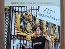 VINYL RECORD / MORRISSEY - LOW IN HIGH SCHOOL / TRANSLUCENT GREEN PRESSING