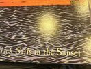 AFI ‎1999 Black Sails In The Sunset Purple Color Vinyl LP 300 Nitro Records VHTF
