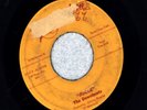 Johnny Amelio Jugue/Downbeats 1958 ORIGINAL Rockabilly Garage UGLY plays VG